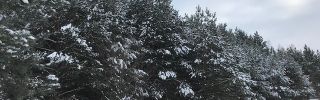 Poland Sales Visit January 2018